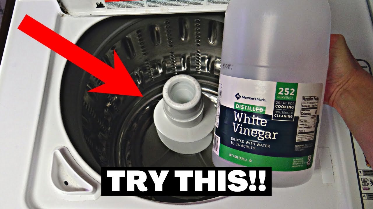 how to clear a dishwasher drain hose