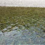 What Does Gravel Do In A Water Filter? (3 Ways It Benefits) Gravel used for water filtering