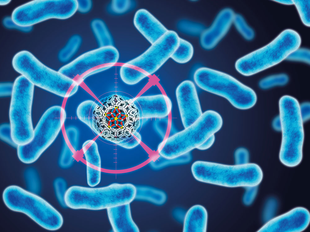 killing bacteria using zoflora